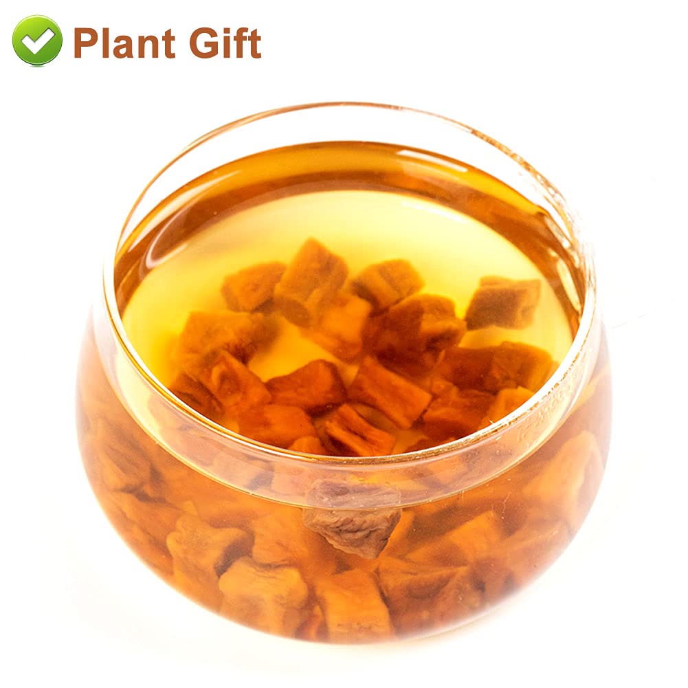 PlantGift Chicory Root Tea 180G/6.34oz 菊苣根 Chicorée Kaffee reichhaltig, Koffein, natürlicher Tee- und Kaffee -Ersatz, Keto, koscher
