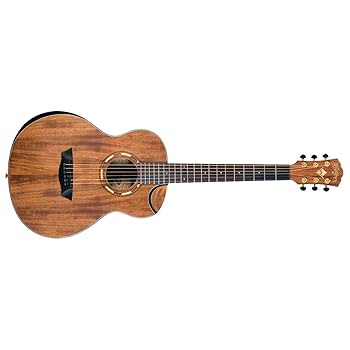 Amazon.com: Washburn Comfort G-Mini 55 Koa Travel Size