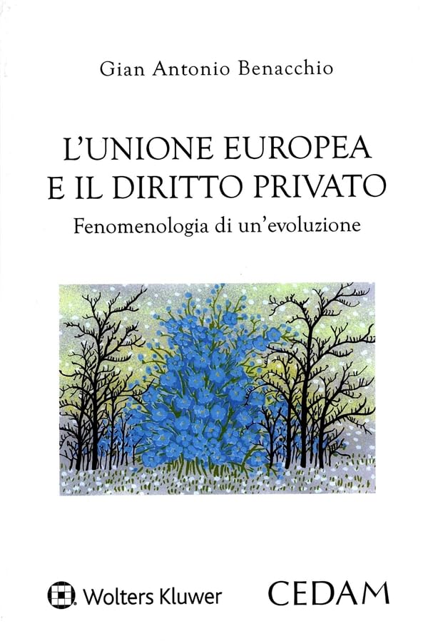 Unione europea e il diritto privato