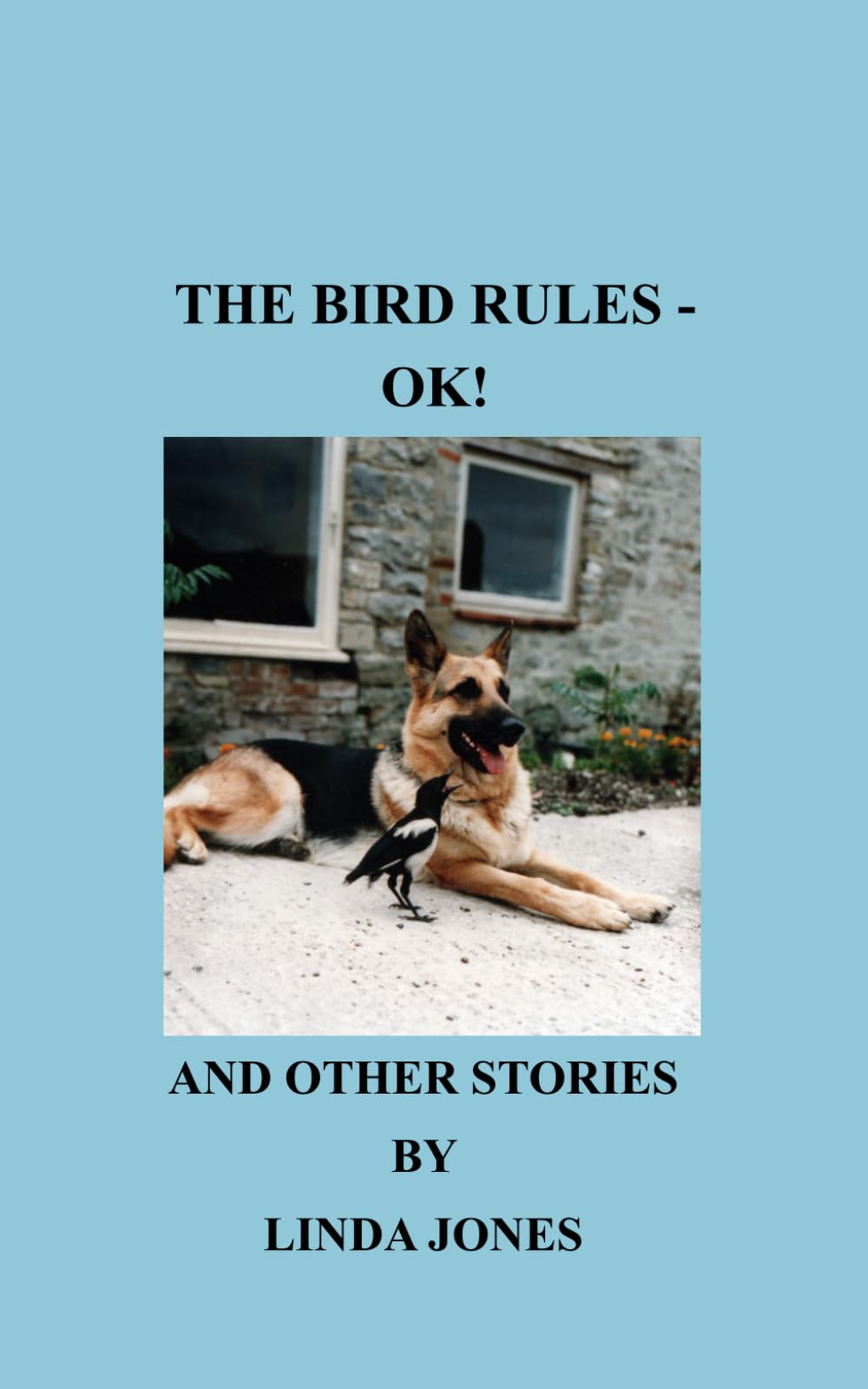 The Bird Rules - OK!: and other stories