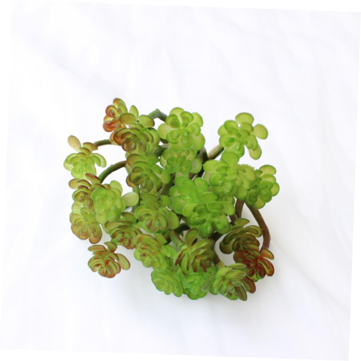 Cabilock Plantes Grasses Artificielles Fausses Succulentes Décorations Intérieures pour Arrangements Floraux