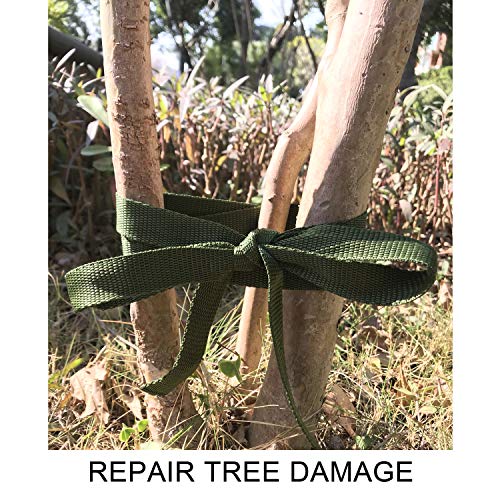 Sanviatime 150 Feet Tree Tie Strap 1 Inch Tree Support Ties 1,980Lbs Strength Green Staking and Guying Material Plant Tie Garden Tie Green Tree Tie Rope for Outdoor Use, Straightening Supplies by Sanviatime - Image 6