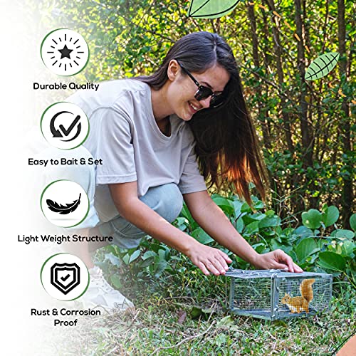 image for SAFETRAP Animal Trap for Small Animals | One-Door Humane Rat Trap | Al