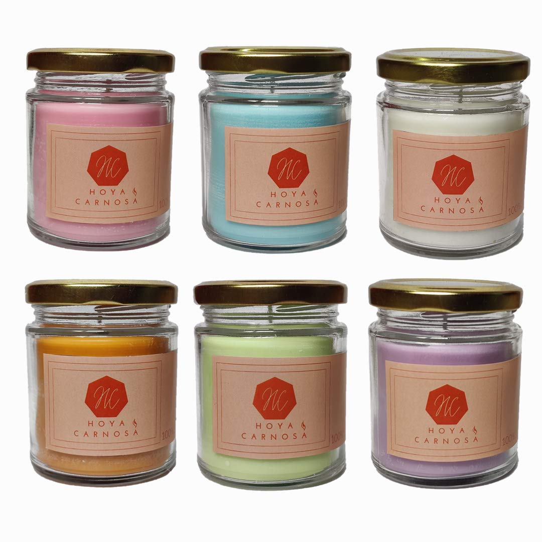 Hoya Carnosa Luxury Scented Candles in Glass Jar Hand Poured 25 Hours