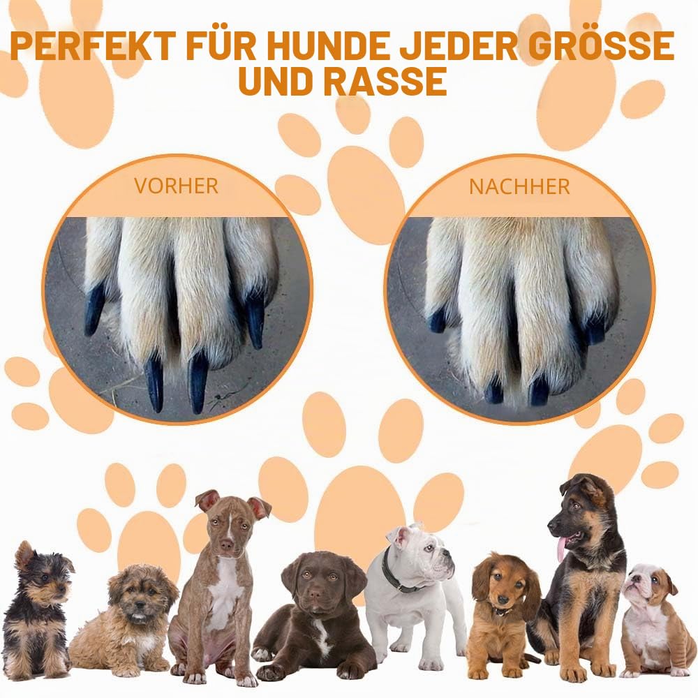 Krallenschleifer für Hunde mit Snack Box, Kratzbrett Hund mit 2 Ersatzblättern Schleifpapier, Hunde Nagelfeile für Nagelpflege Haustieren, Alternative Krallenschere Krallenschneider