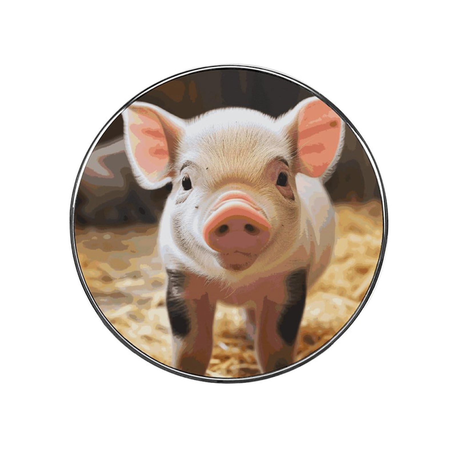 Adfgyerh Style Smiling (6) Refrigerator Magnets Circular Design，Stickers Home Decorations，Fridge Magnets For Fridge Plant Lovers Kitchen Office Locker Whiteboard Car Garage Decor.