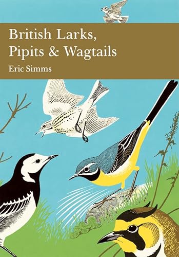 British Larks, Pipits and Wagtails: Book 78 (Collins New Naturalist Library)