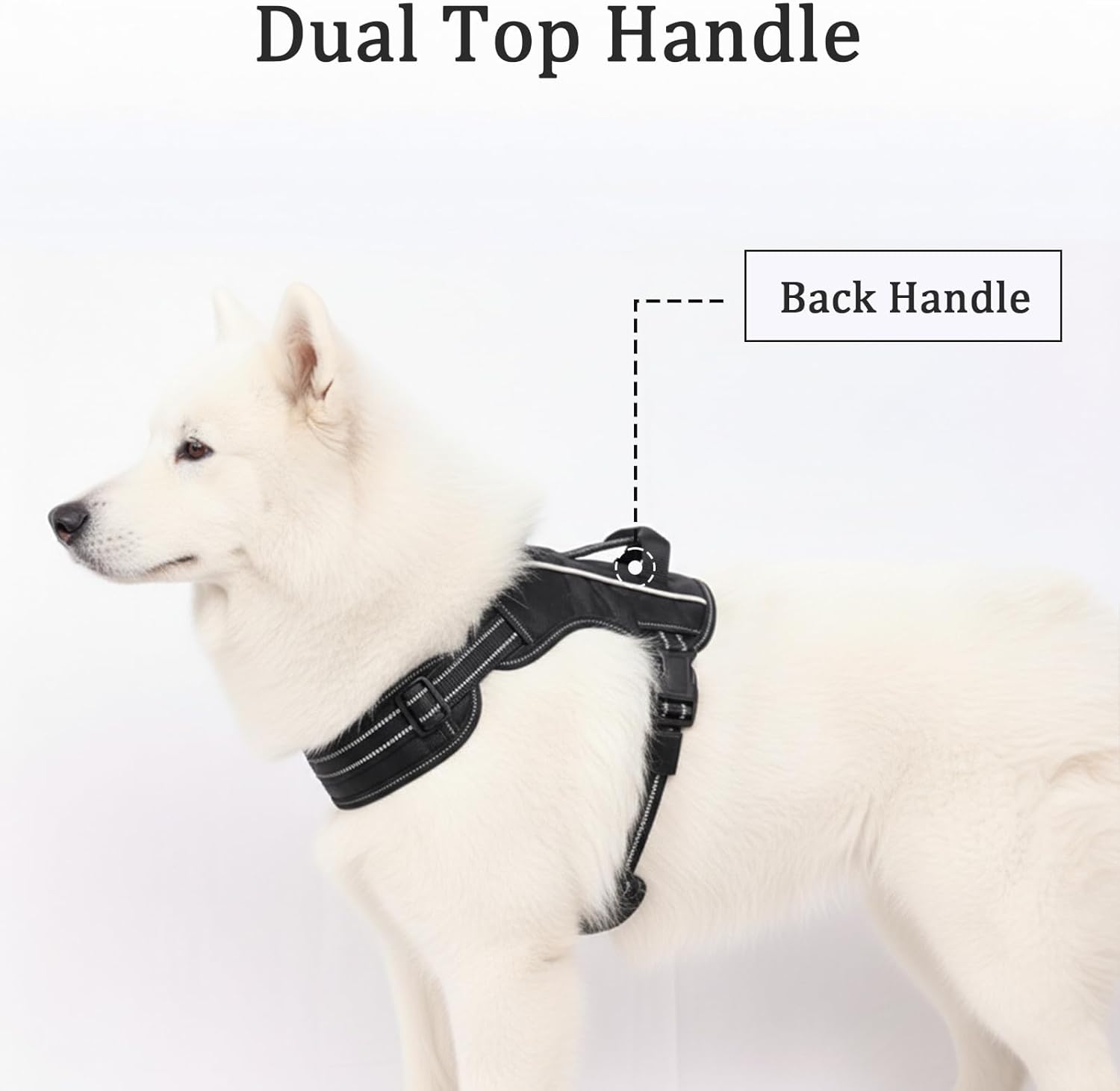Light Up Dog Harness, Multicolor Illuminated LED Dog Harness with 7 Lighting Modes, No Pull Rechargeable Safety Vest with Handle for Medium Large Dogs, Waterproof & Adjustable, Large
