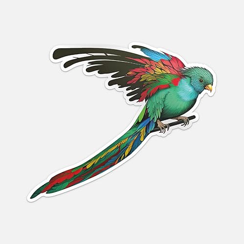 Quetzal - Adhesivo para parachoques | Decoración de automóvil, computadora portátil, botella de agua, pared, ventana, calcomanía de vinilo