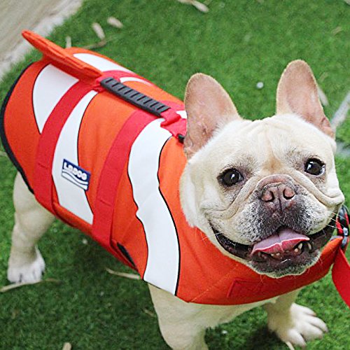 bulldog swimming vest