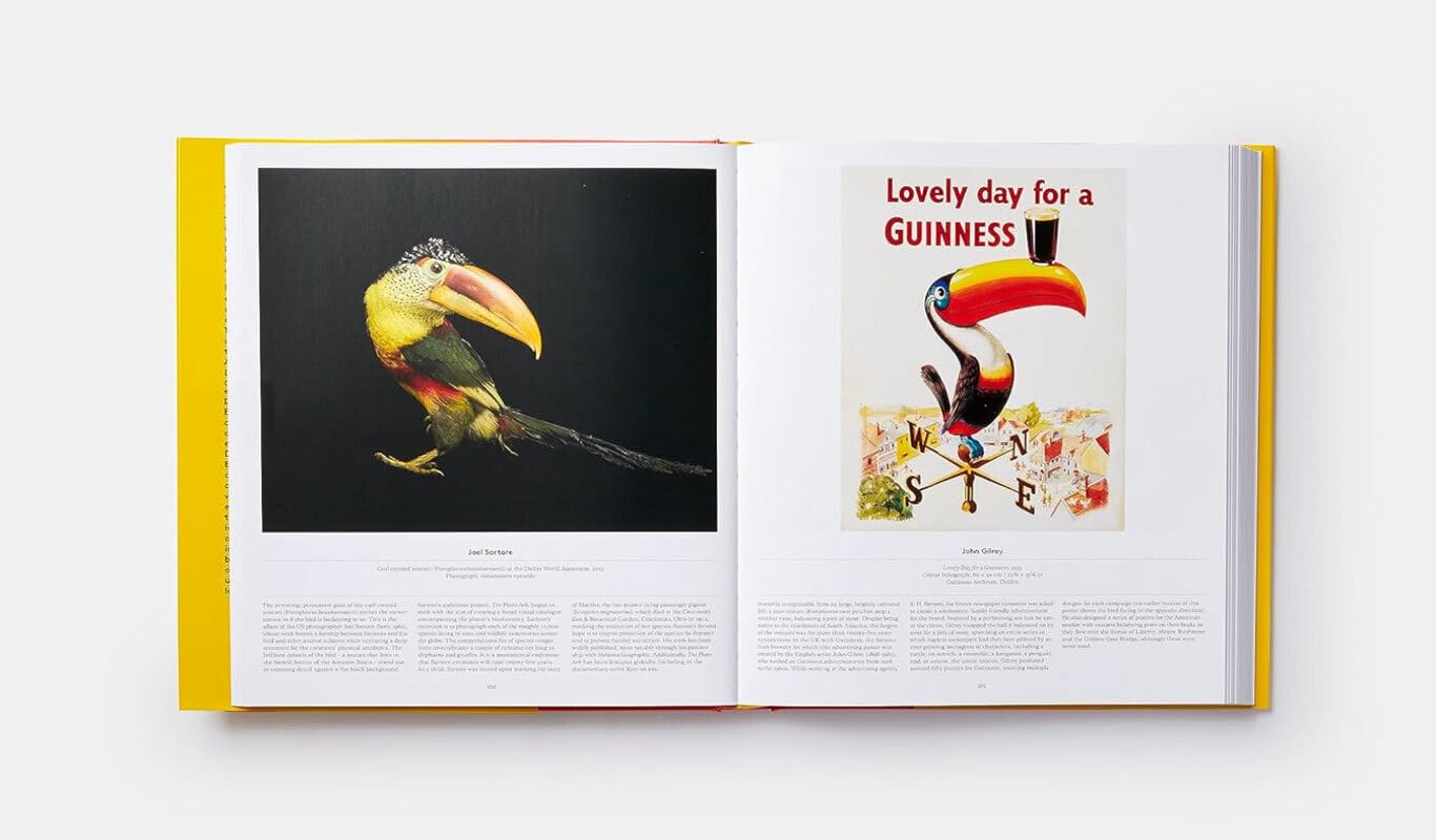 BIRDS - Die Welt der Vögel: Ein Ausflug in die gefiederte Welt. Üppiger Bildband mit künstlerischen und wissenschaftlichen Porträts von Vögeln in Malerei, Fotografie, Popkultur und Forschung