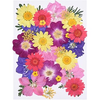 Remissione Spioncino Tessuto Fiori Tipo Margherite Colorate Amazon Cactusflowercommunications Com