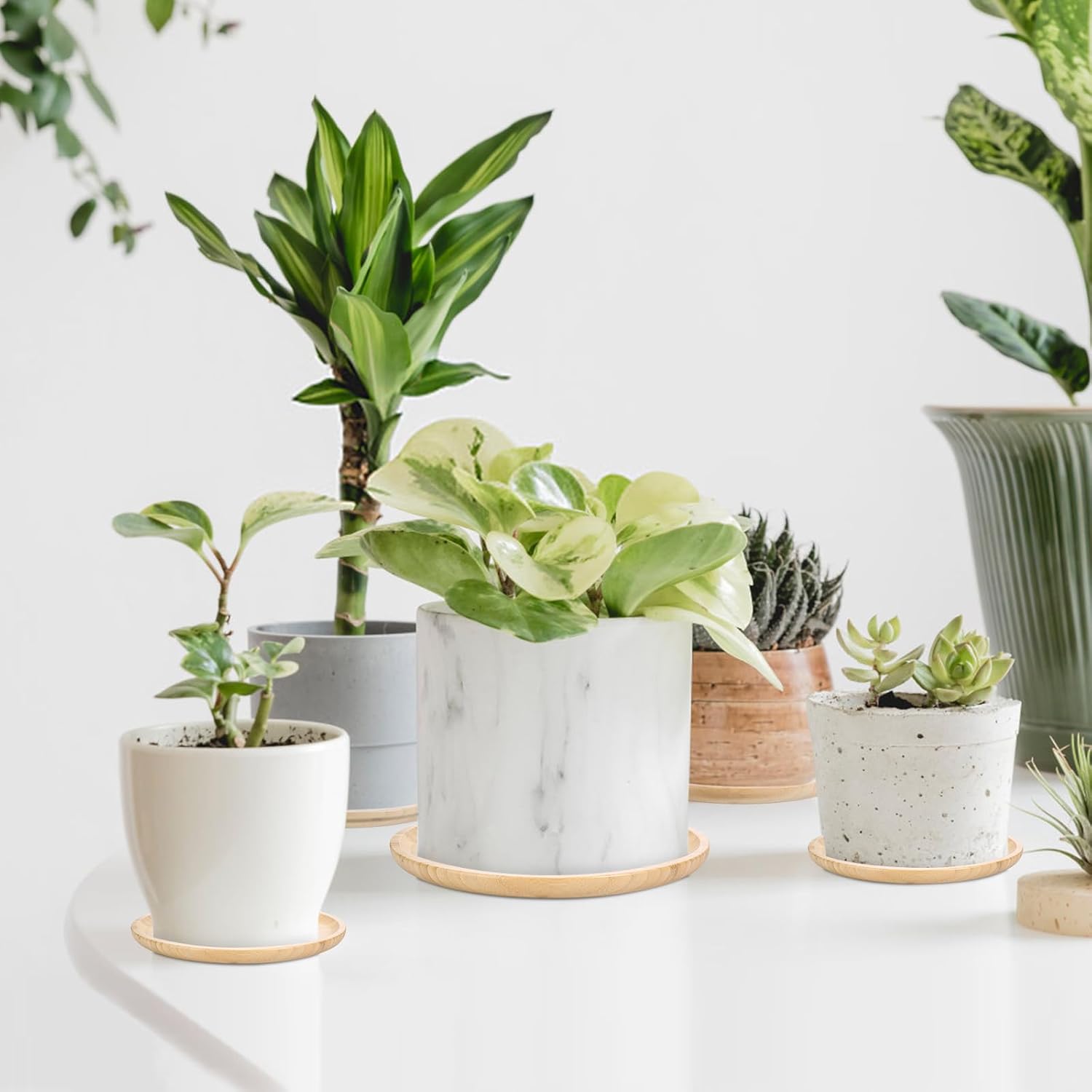 竹製植物受け皿2点、丸型小石トレイ、屋内植物用、ポットトレイソーサー 8インチ用、大きな皿(20cm)