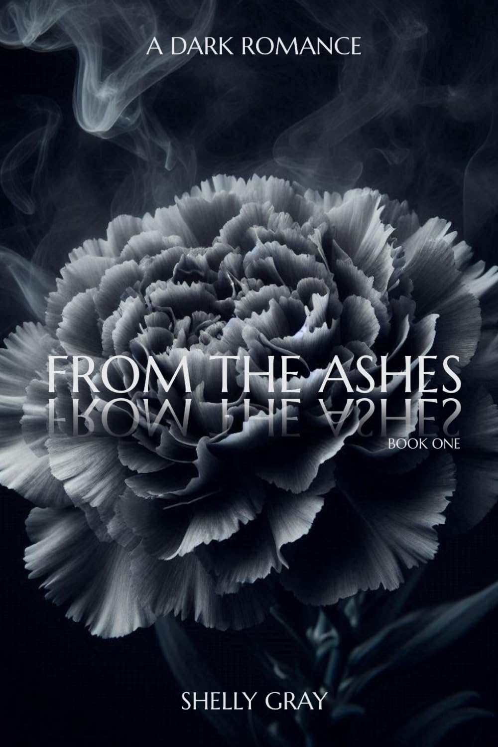 FROM THE ASHES: BOOK ONE (FROM THE ASHES DUET)