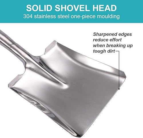 Miniatura 3 de Pala de jardín de cabeza plana de 31.5 pulgadas, mango en D, pala plana cuadrada para jardinería, hecho de acero inoxidable