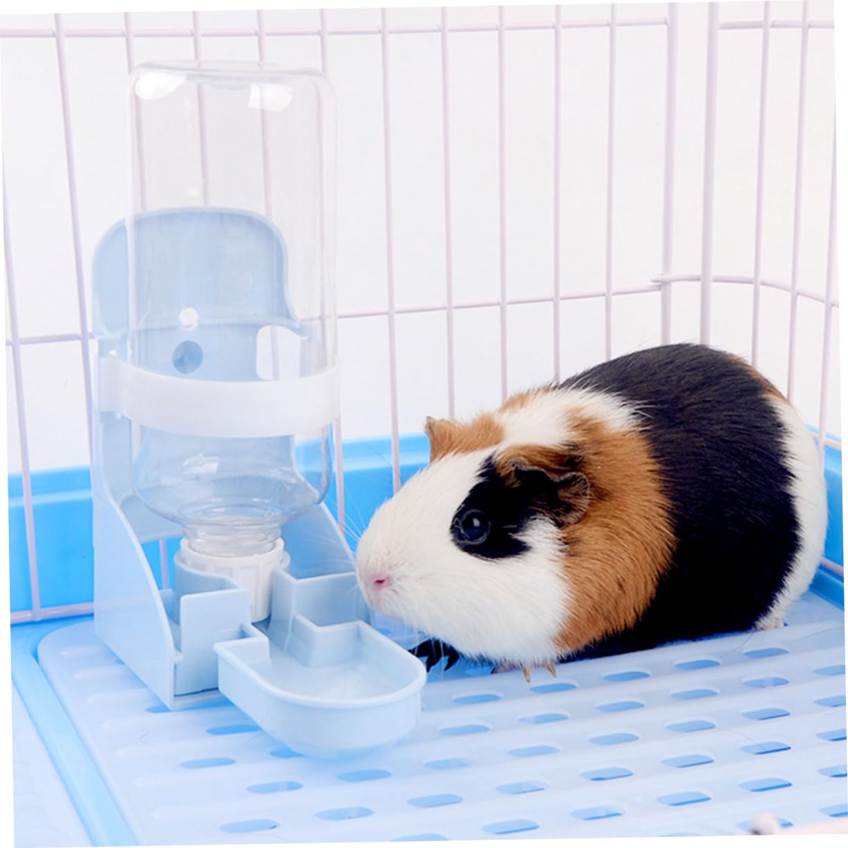 2 Piezas tazón de Agua Potable de Bebedero Hamster bebederos para pajaros Botella de Agua de Conejito dispensador de Agua para Perro Tetera Bebedero automatico para Mascotas