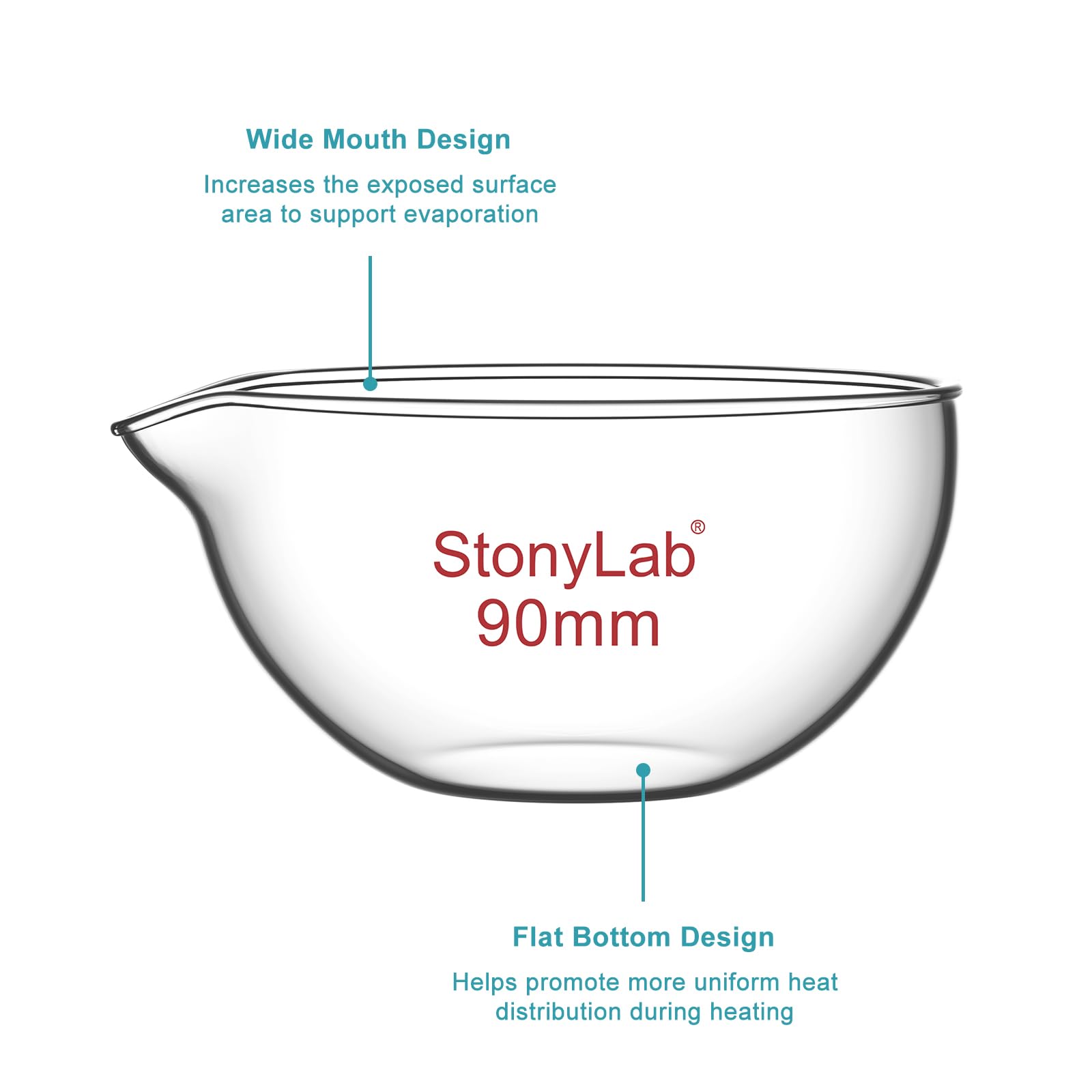 StonyLab Evaporating Dish - Borosilicate Glass -4