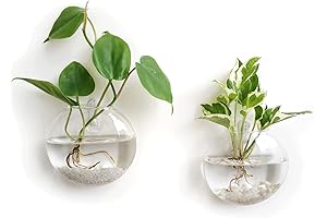 Mkono Hanging Wall Decor: Oblate Glass Terrariums for Effortless Home Decor