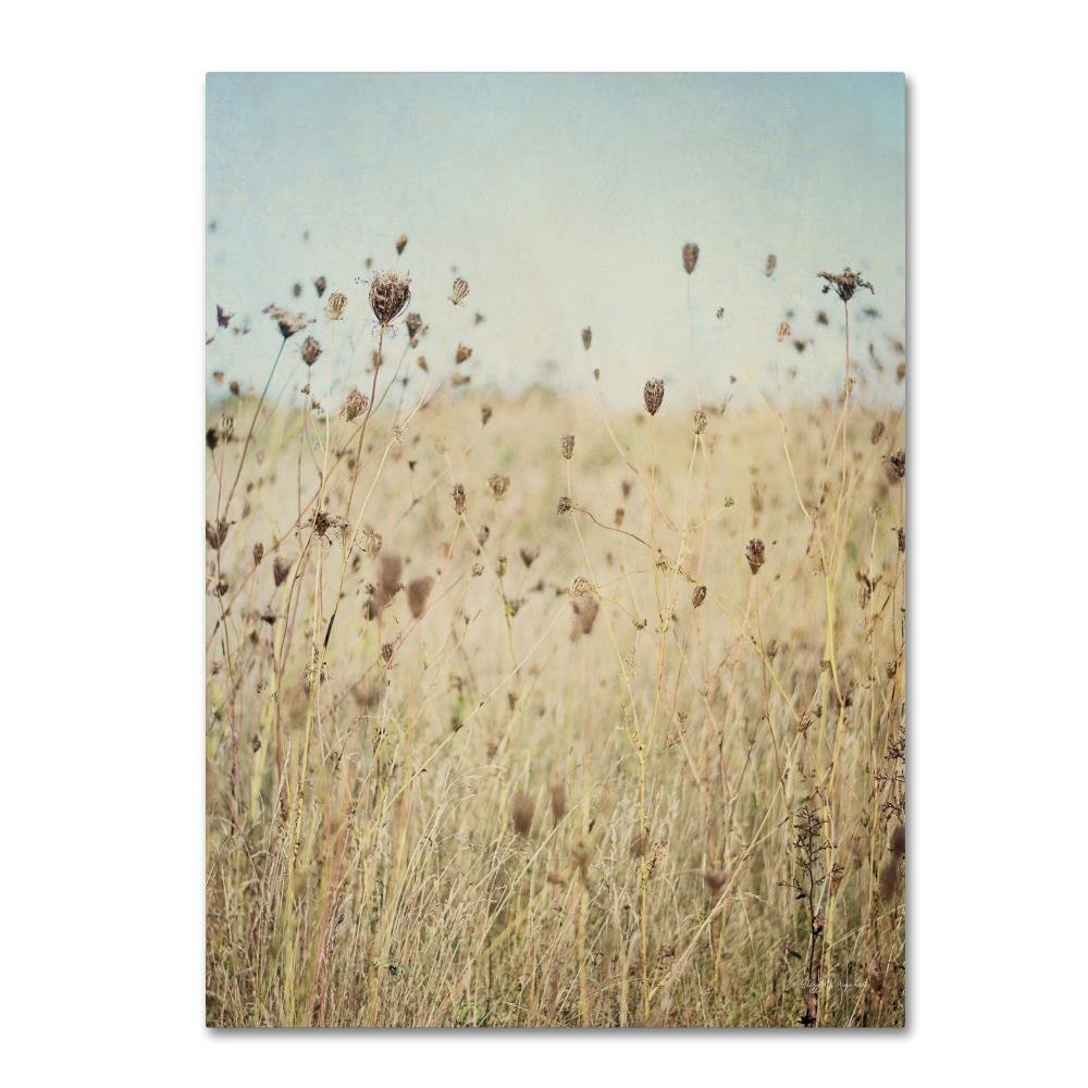 Falling Queen Anne's Lace II Crop by Elizabeth Urquhart, 14x19-Inch Canvas Wall Art