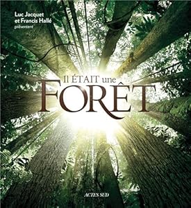 Livres Couvertures de Il était une forêt