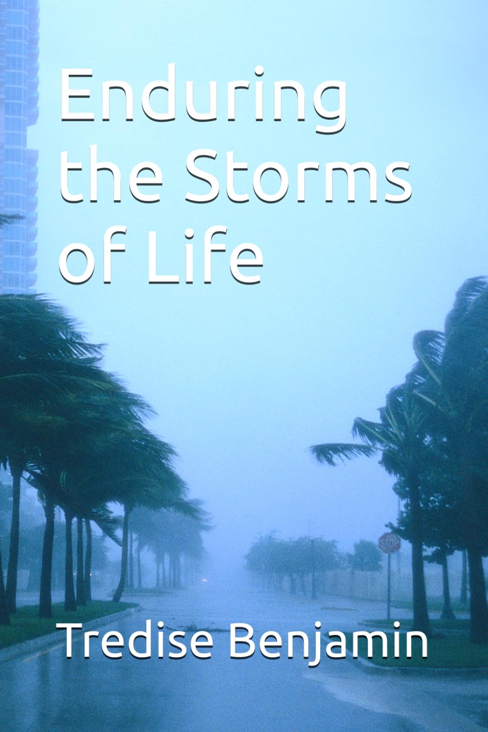 Enduring the Storms of Life