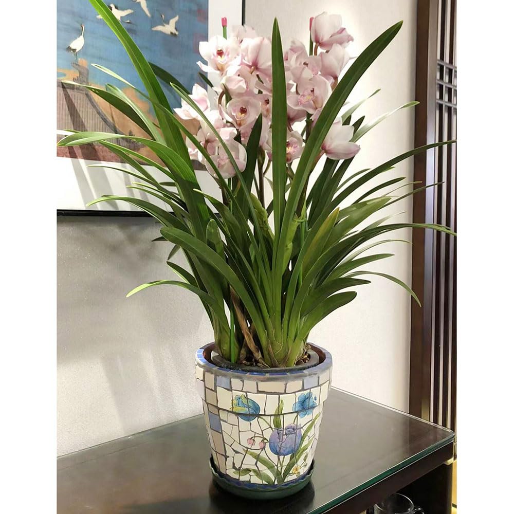 Ceramiczna doniczka na sukulenty, roślina domowa, kaktus, bonsai, dekoracyjna doniczka, pojemnik na rośliny z otworami drenażowymi, ceramiczne doniczki, ręcznie malowana