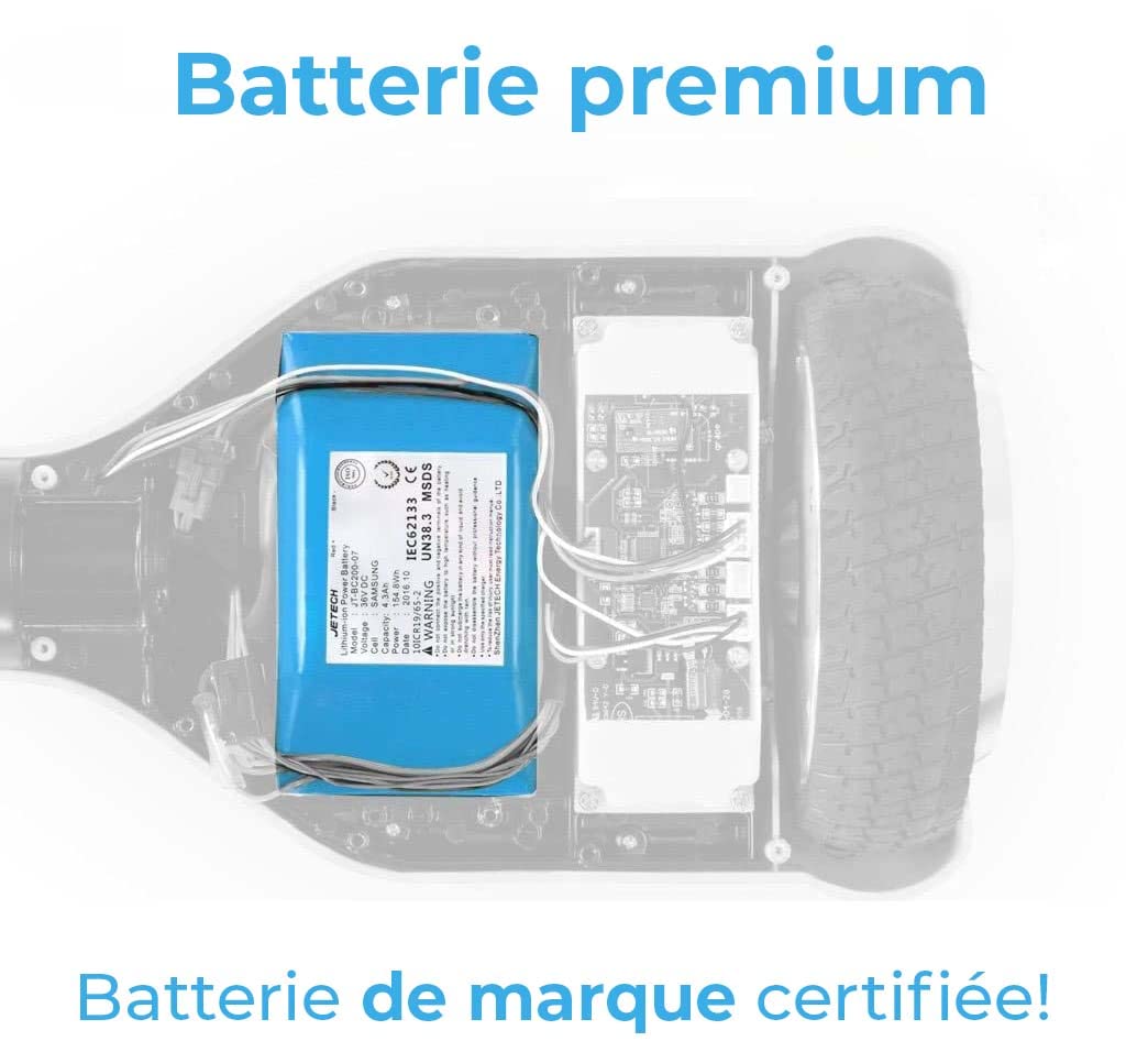 Robway X2 Hoverboard - L'original - Édition Offroad - Batterie de Marque - Équilibre Automatique - Haut-Parleur Bluetooth - Moteur de 700 Watts - App - LEDs