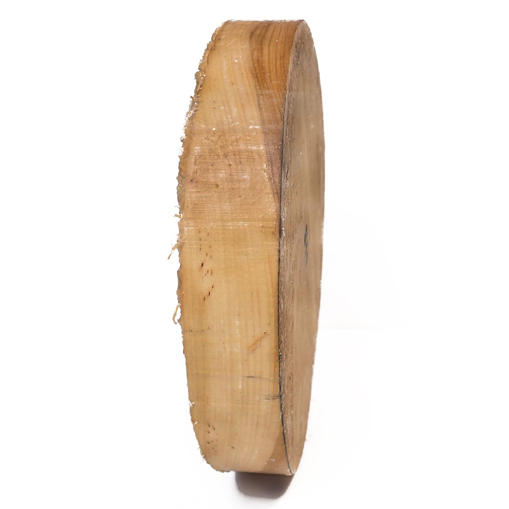Turners' Mill Bowl Turning Blank - Hickory, 8x1.5", Cream - Image 2