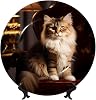 PHAYAH Cat in The Spotlight Pattern Bone China Decorative Plate 7in with Display Stand Dinner Plates for Home Study and Entryway Office Decor