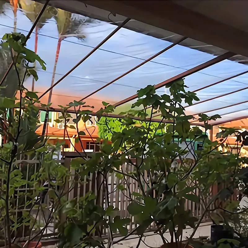 Bâche en PVC avec œillets, transparente, imperméable, protection contre la pluie, le vent, le soleil, pour balcon, jardin, serre (4 m x 6 m)