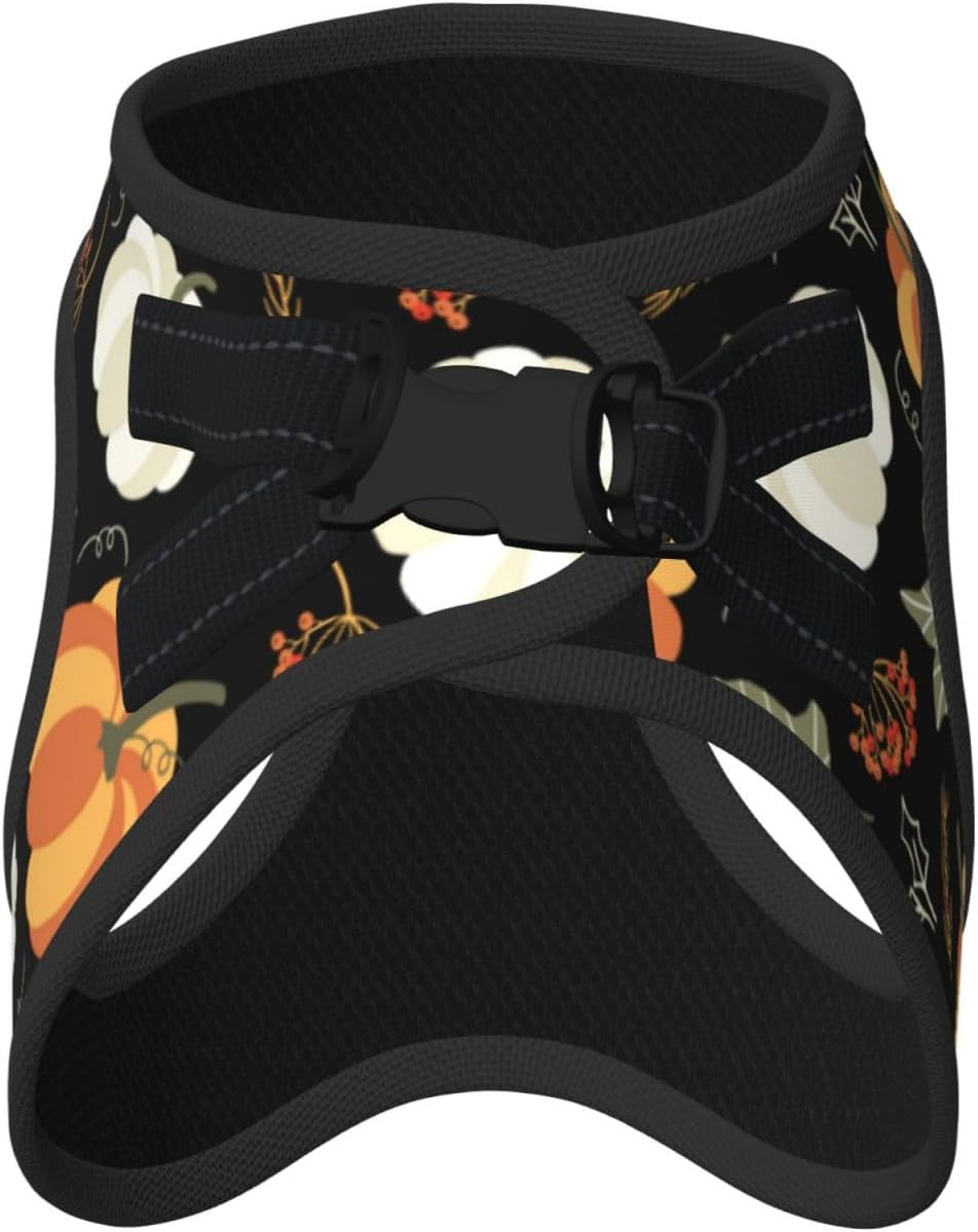 Lightweight Small Dog Harness, Pumpkin Leaf Pumpkin Dog Harness 5 61MW9T MSRL. AC SL1500