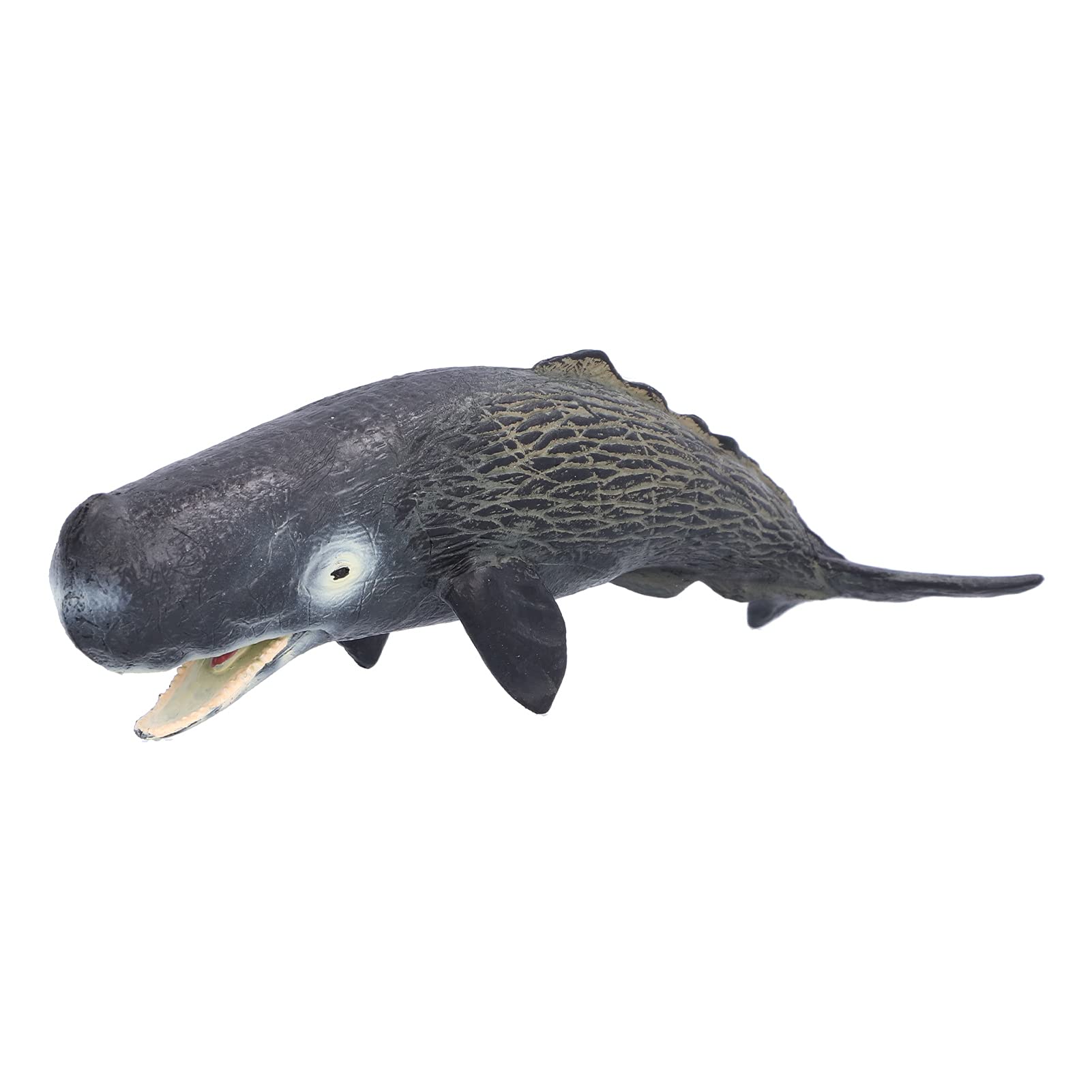 Sperm Whale Replica Simulated Marine Animal Model Educational Collector Toy