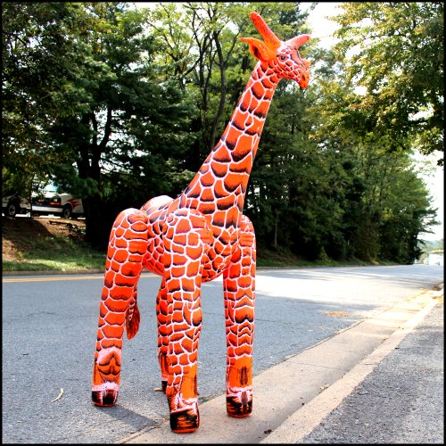 Jet Creations Giraffe (60
