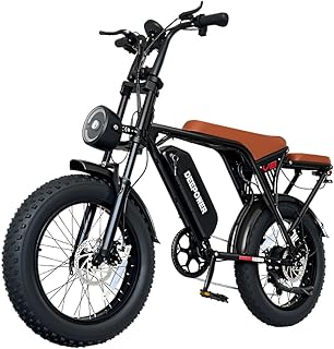 DEEPOWER V8 Bicicletta Elettrica, 20" Bicicletta Elettrica per Adulti, Batteria 48 V 13Ah/20Ah Rimovibile, Chilometraggio 80 KM(PAS), Luci Doppie, Bici Elettrica per Adulti