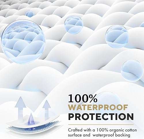 Miniatura 6 de MATTSHIELD - Kit de 3 piezas para piel sensible, protector de colchón de chinches tamaño King + 2 fundas de almohada Queen con cremallera, parte