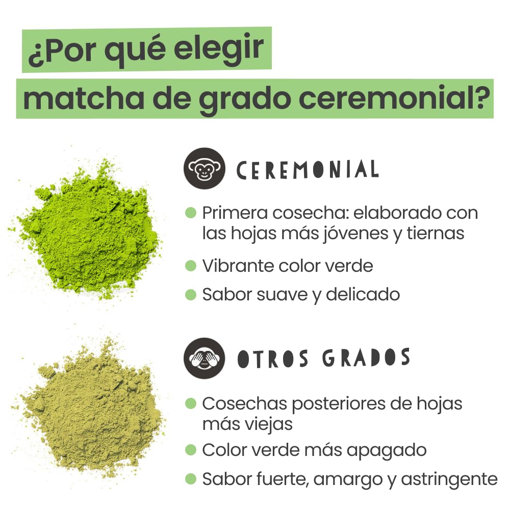 PureChimp Polvo de Matcha Ceremonial Sabor Cúrcuma 50g. 100% Té Verde Puro con Cúrcuma, Canela y Jengibre. Cultivado a la Sombra para Latte y Recetas. Tarro de Vidrio Reciclable. Rico en Antioxidantes