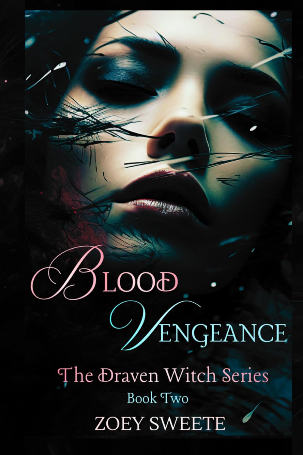Blood Vengeance The Draven Witch Series Book Two