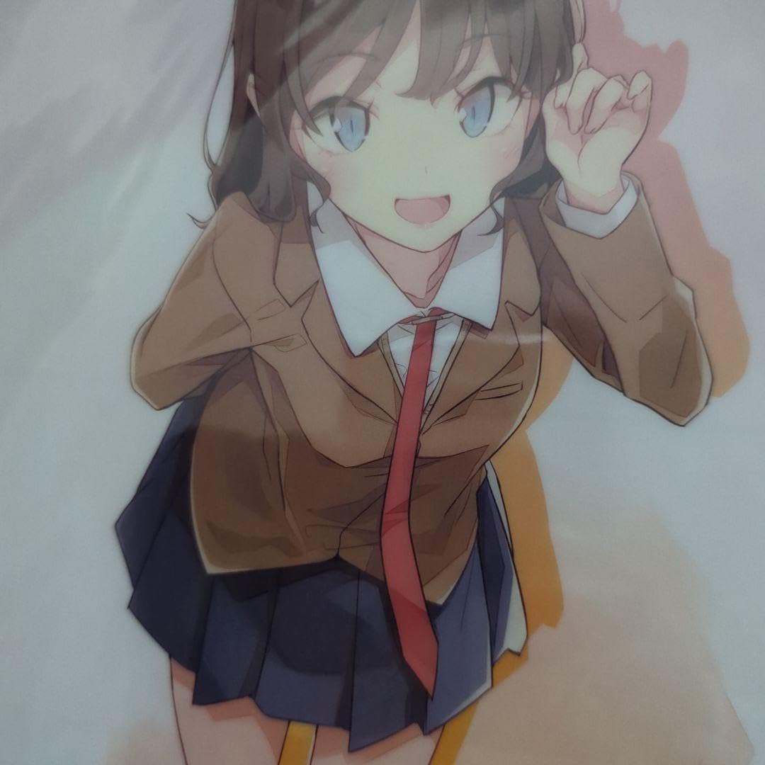 Amazon.co.jp: ?青ブタ/原作表紙絵/姫路紗良 a4クリアファイル/青春