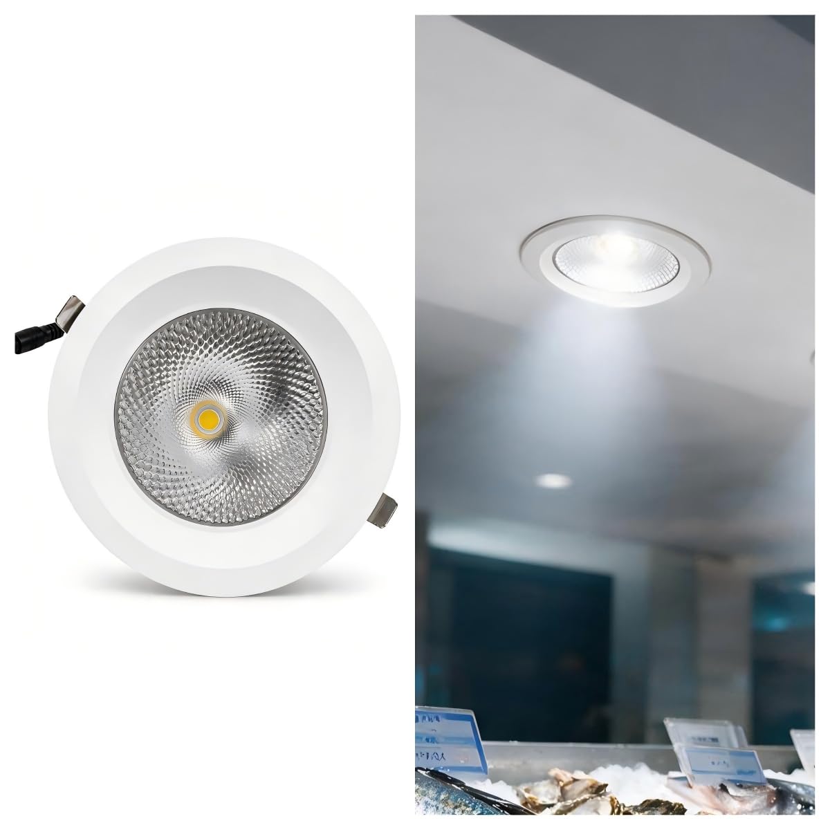 BARCELONA LED Downlight do Peixarias 30W Ø200mm IP54
