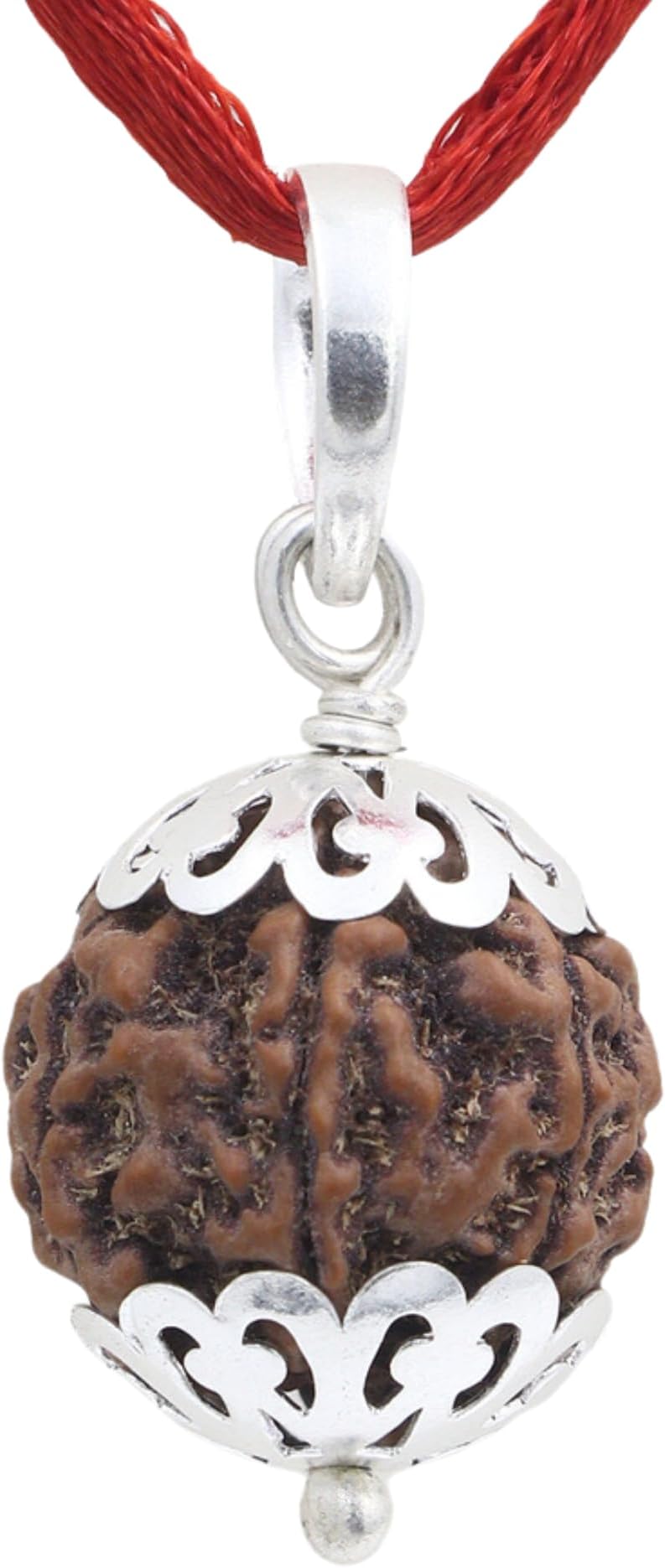 SHIVALOKA 5 Mukhi Rudraksha Original Certified Silver Pendant | 20 mm size | Five Face Nepal Origin | For Men and Women | Laboratory Report |