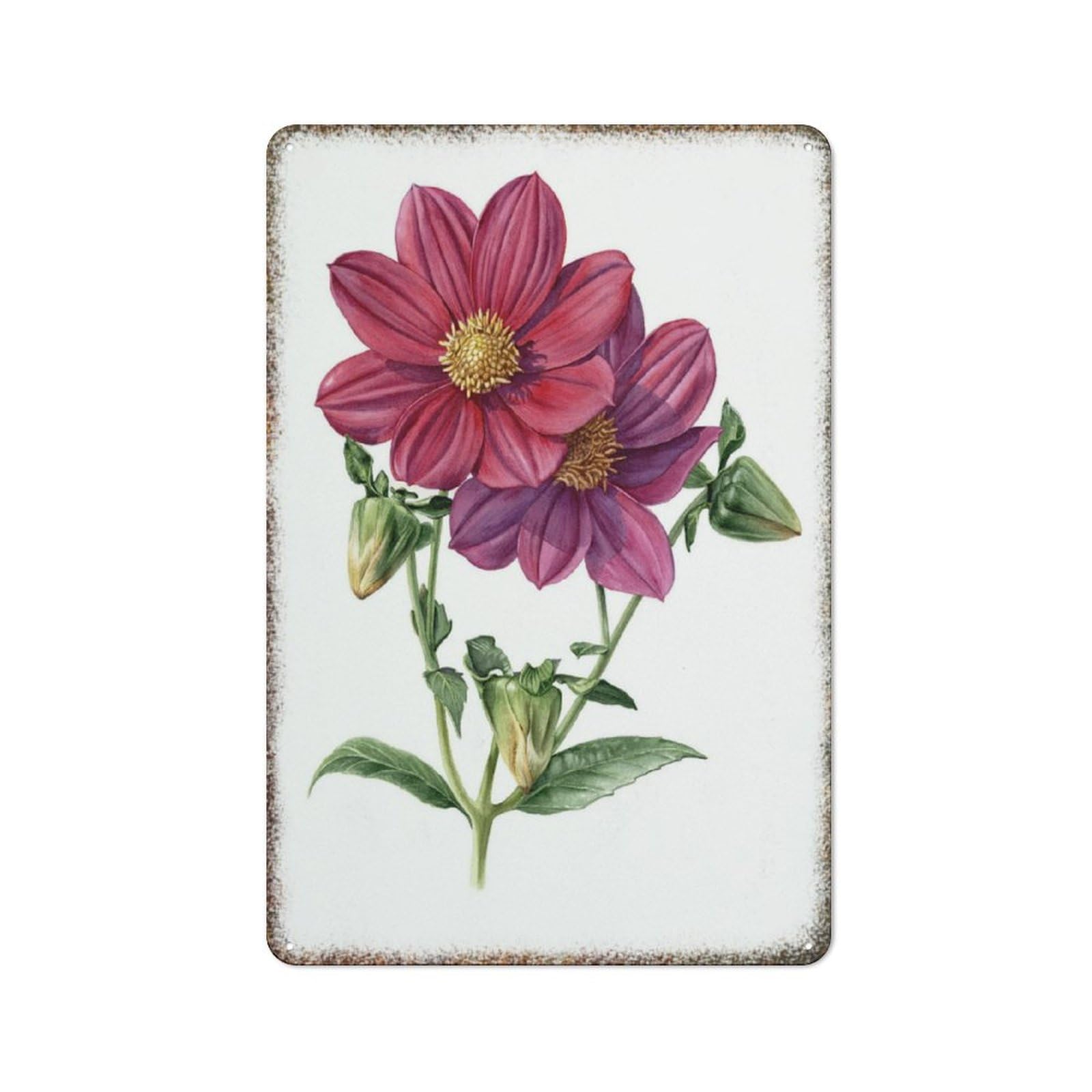 Elegant Red Dahlia Watercolor Wall Print High Gloss Fashionable Household Art Wall Decor 8x12 Inch
