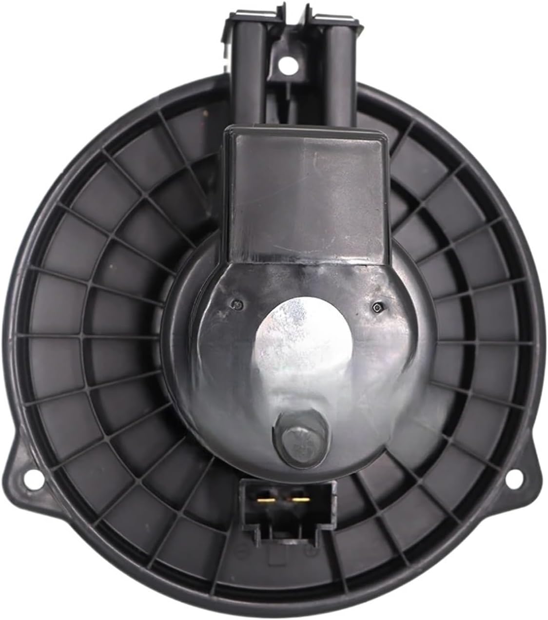 愛蔵コレクション-原本現代絵本スペシャル（10冊セット） 絵本10冊セット