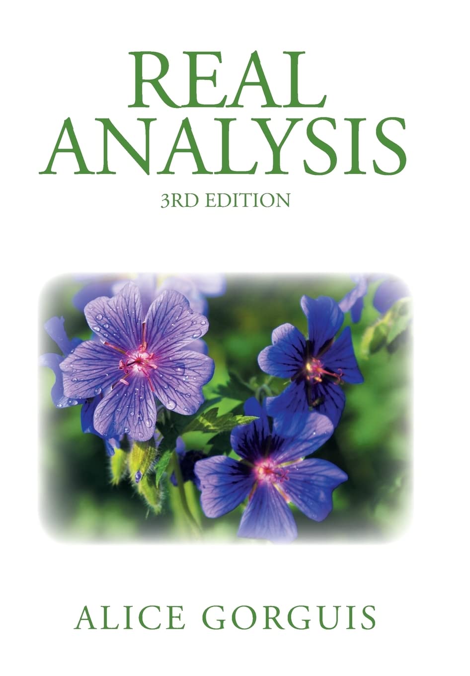 Real Analysis: 3rd Edition