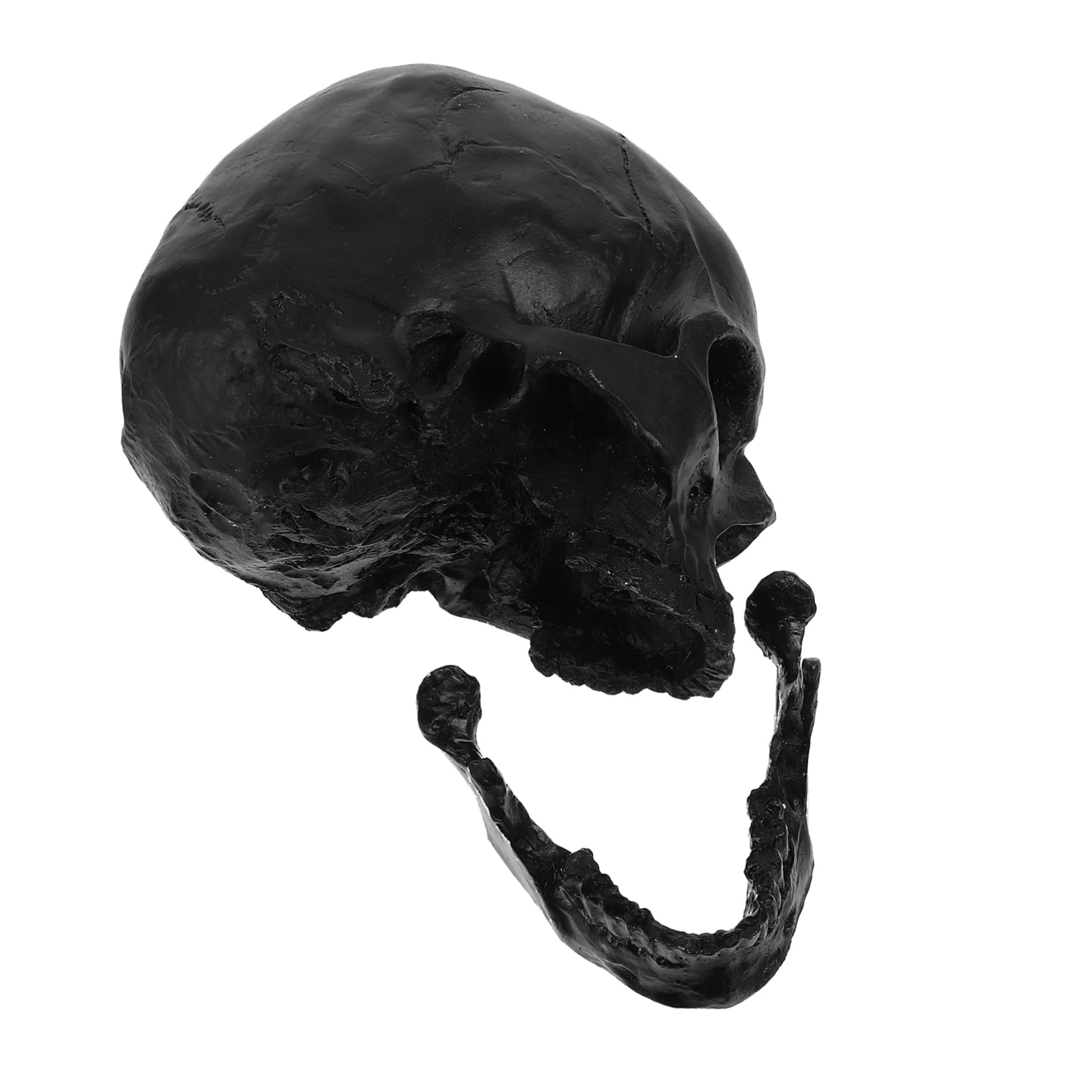 1pieza Modelo De Cráneo Humano para Decoración De Halloween Escultura Detallada y Artística Adorno Gótico para Hogar y Colección para Celebraciones y Fiestas
