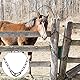 JINJUMEI 2 Stück Stahlkette 0.5m Kette verzinktes Eisen Gliederkette 3mm Galvanisierte Eisenkette Für Zauntore, Käfigtore Für Haustiere, Gartentore (schwarz)