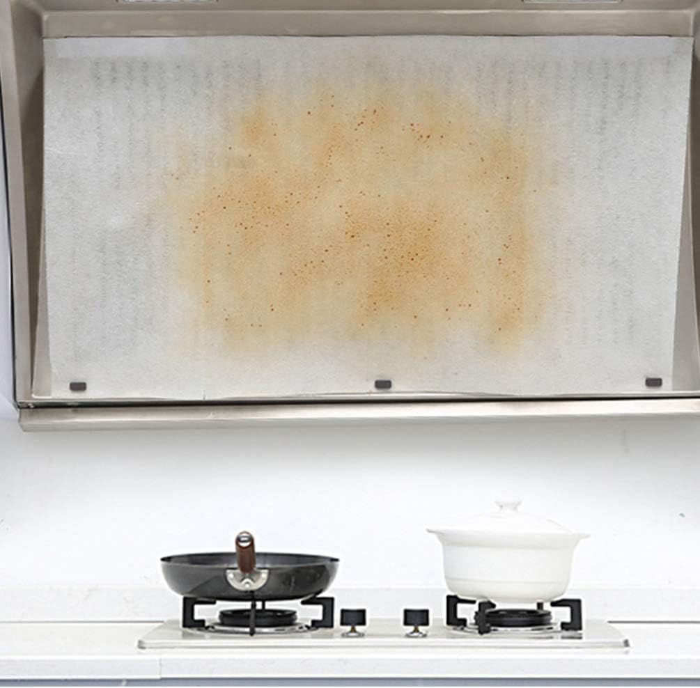 Range Hood Grease Filter 2 Rolls Kitchen Oil Filter Paper Oil-Absorbing Sticker for Range Hood (5M,White)