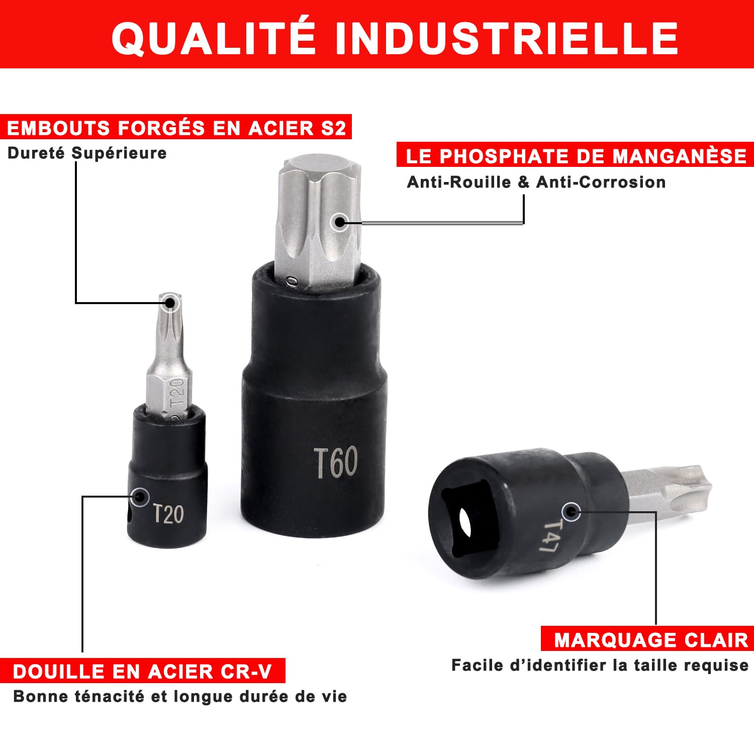 Awang 13PCS Douille Torx Mâles T8 à T60, Jeu de douilles à embouts étoilé | Coffret Embout Torx 1/4" 3/8" 1/2" drive en Acier S2