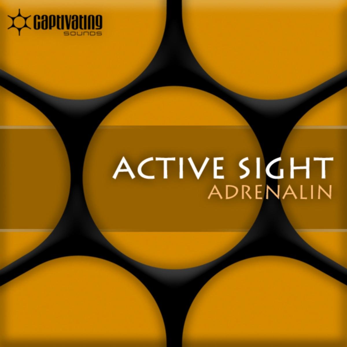 Active Sight