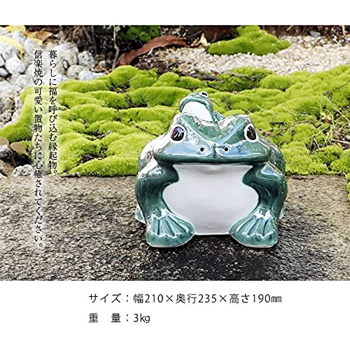 信楽焼 手作り出目笑い立ち蛙 (特大) 蛙 カエル かえる Amazon.co.jp