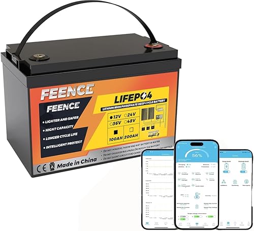Batería de litio LiFePO4 Bluetooth de 12 V 100 Ah, BMS de 100 A, protección a baja temperatura con hasta 8000 ciclos, máx. Batería LiFePO4 de